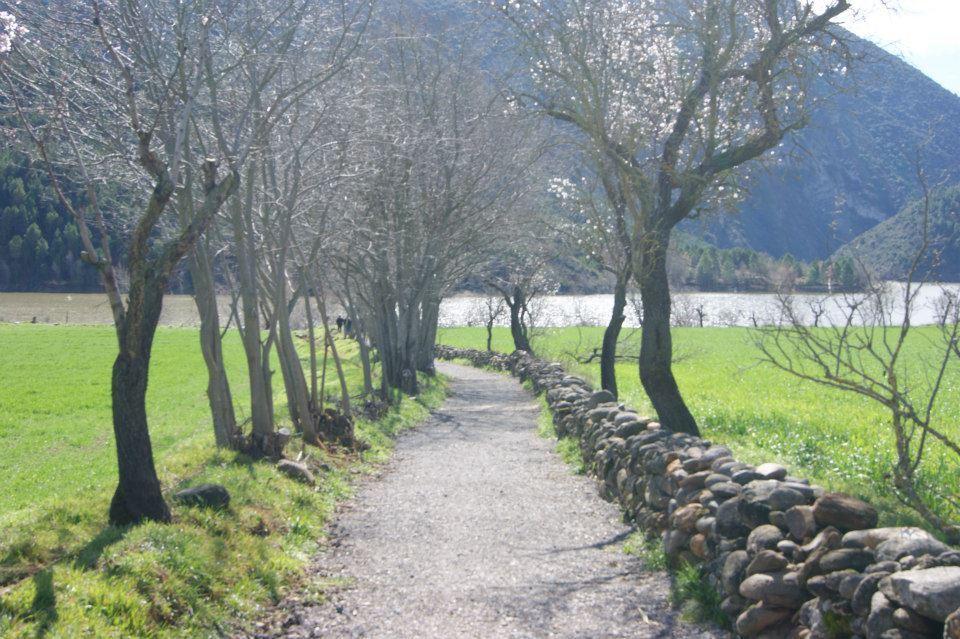 Cal Remolins Coll de Nargó Exterior foto